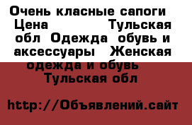 Очень класные сапоги › Цена ­ 10 000 - Тульская обл. Одежда, обувь и аксессуары » Женская одежда и обувь   . Тульская обл.